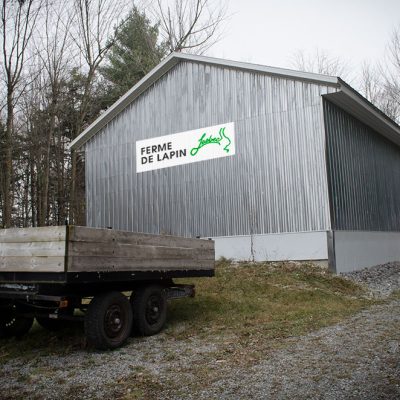 ferme de lapin du québec laobec