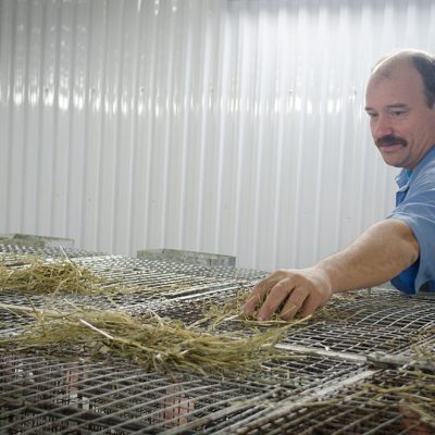 ferme de lapin du québec laobec